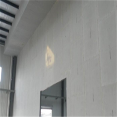 细河宁波ALC板|EPS加气板隔墙与混凝土整浇联接的实验研讨